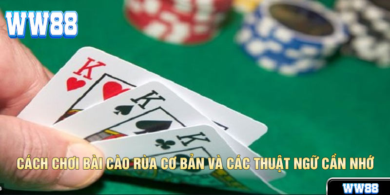 Bài Cào Rùa WW88 Và 4 Bí Quyết Thắng Lớn