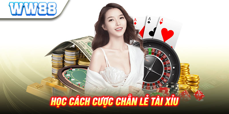 Khám phá Cách Chơi Chẵn Lẻ Tài Xỉu tại WW88