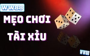 Mẹo Chơi Tài Xỉu Siêu Chuẩn Trên WW88